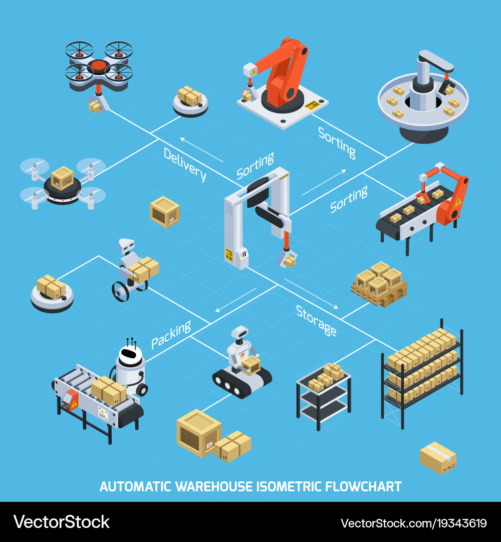 Warehouse Sorting & Logistics Flowchart vector image