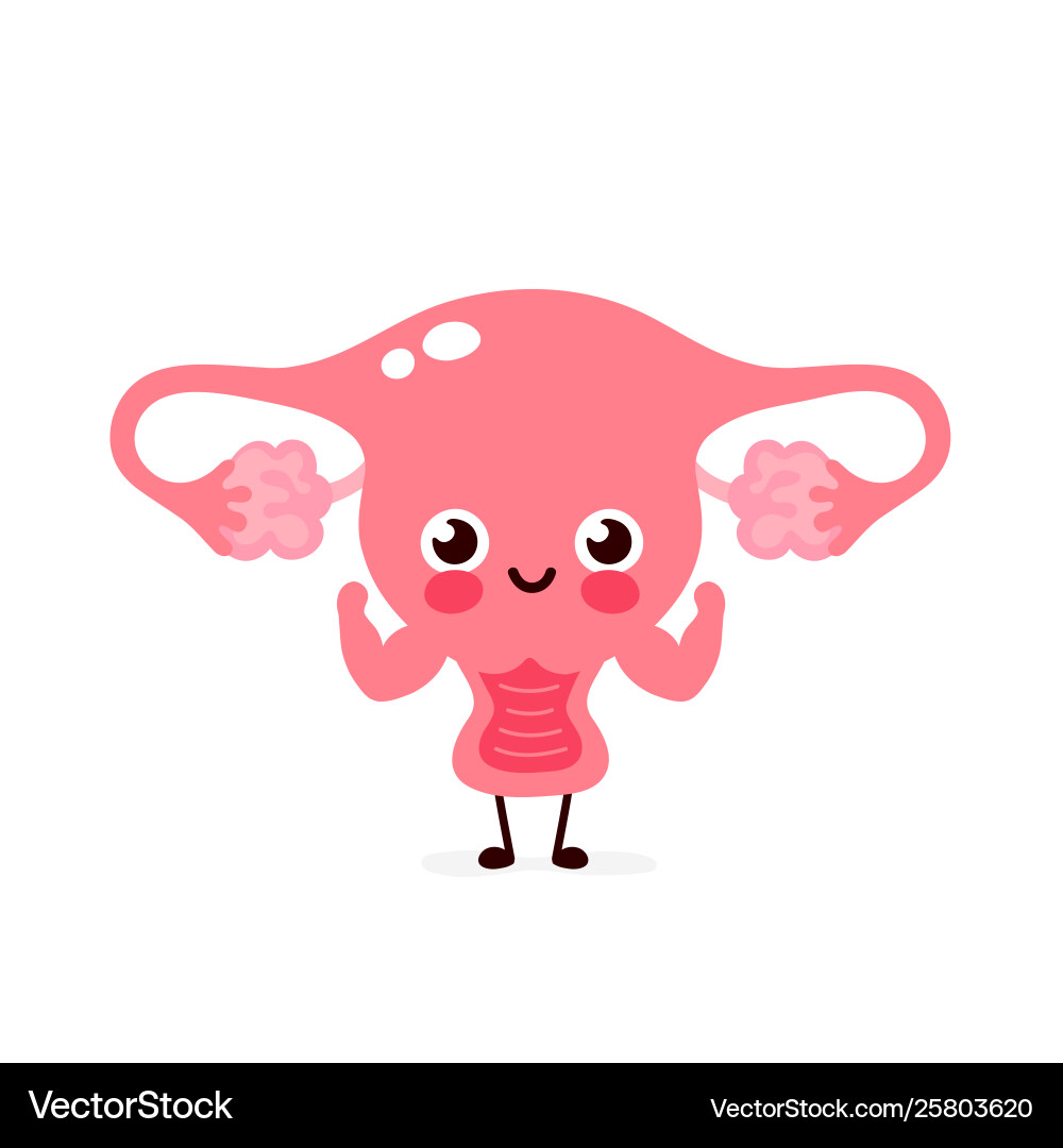 Cute Uterus Character Vector Image