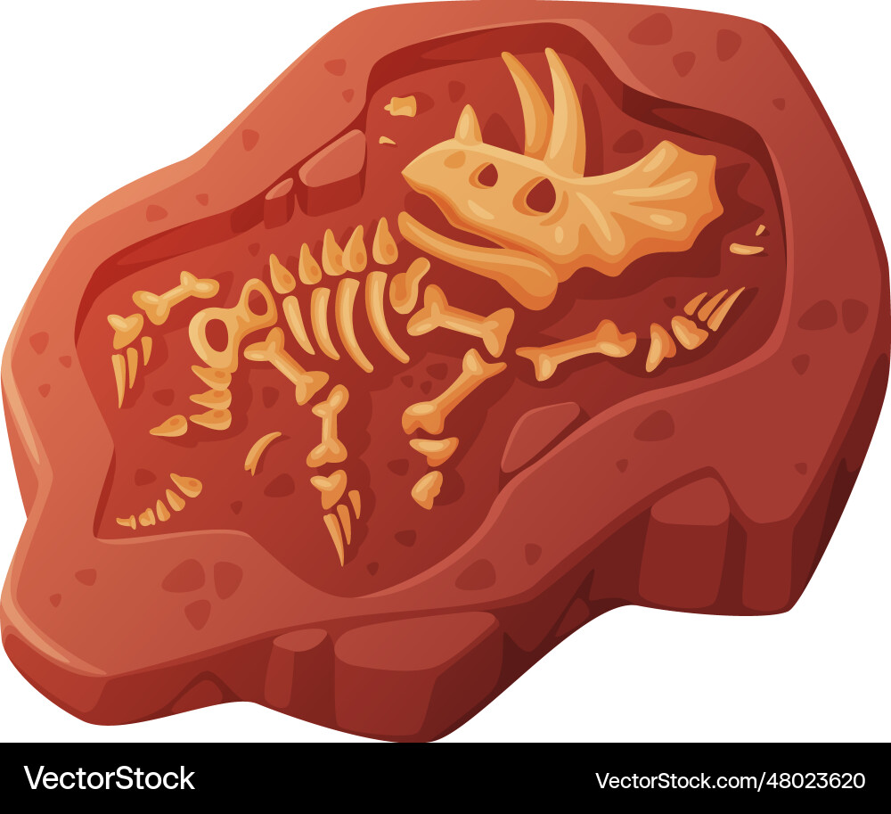 Fossil obtained by digging rested in soil Fossil obtained by digging rested in soil vector image