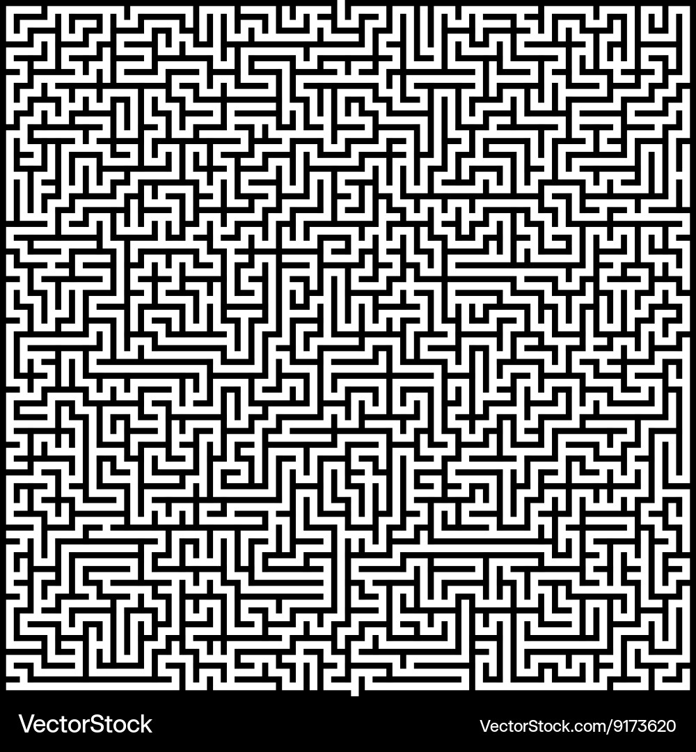 Intricate Maze Pattern vector image