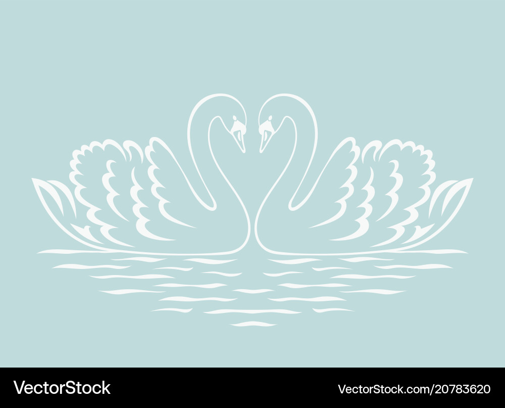 Swan Couple Silhouette Swan Couple Silhouette vektorbild