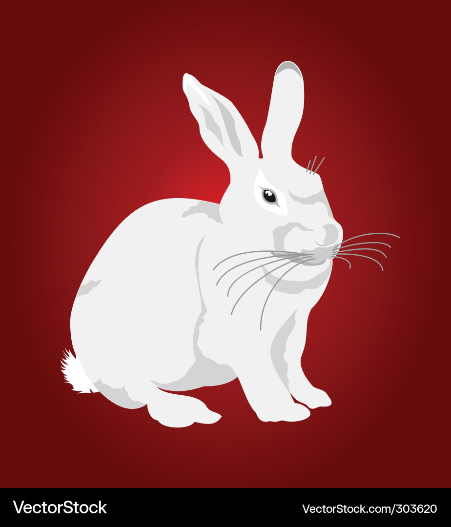 White Rabbit on Red Background Vector Image