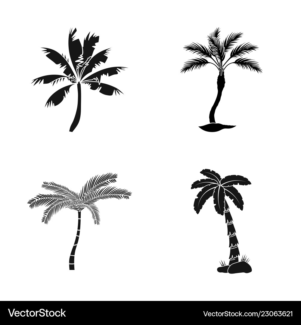 Isolated object of tree and summer icon set Vector Image