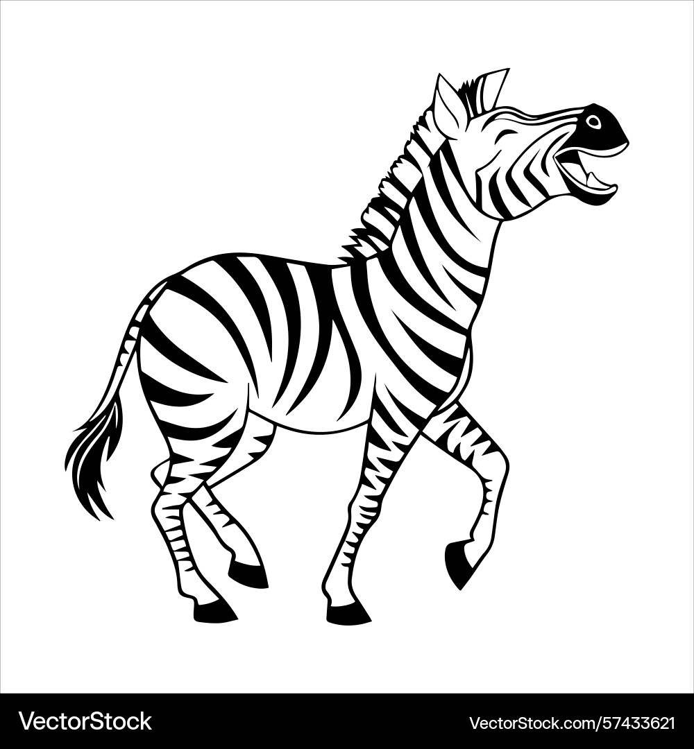 Plain zebra vector image