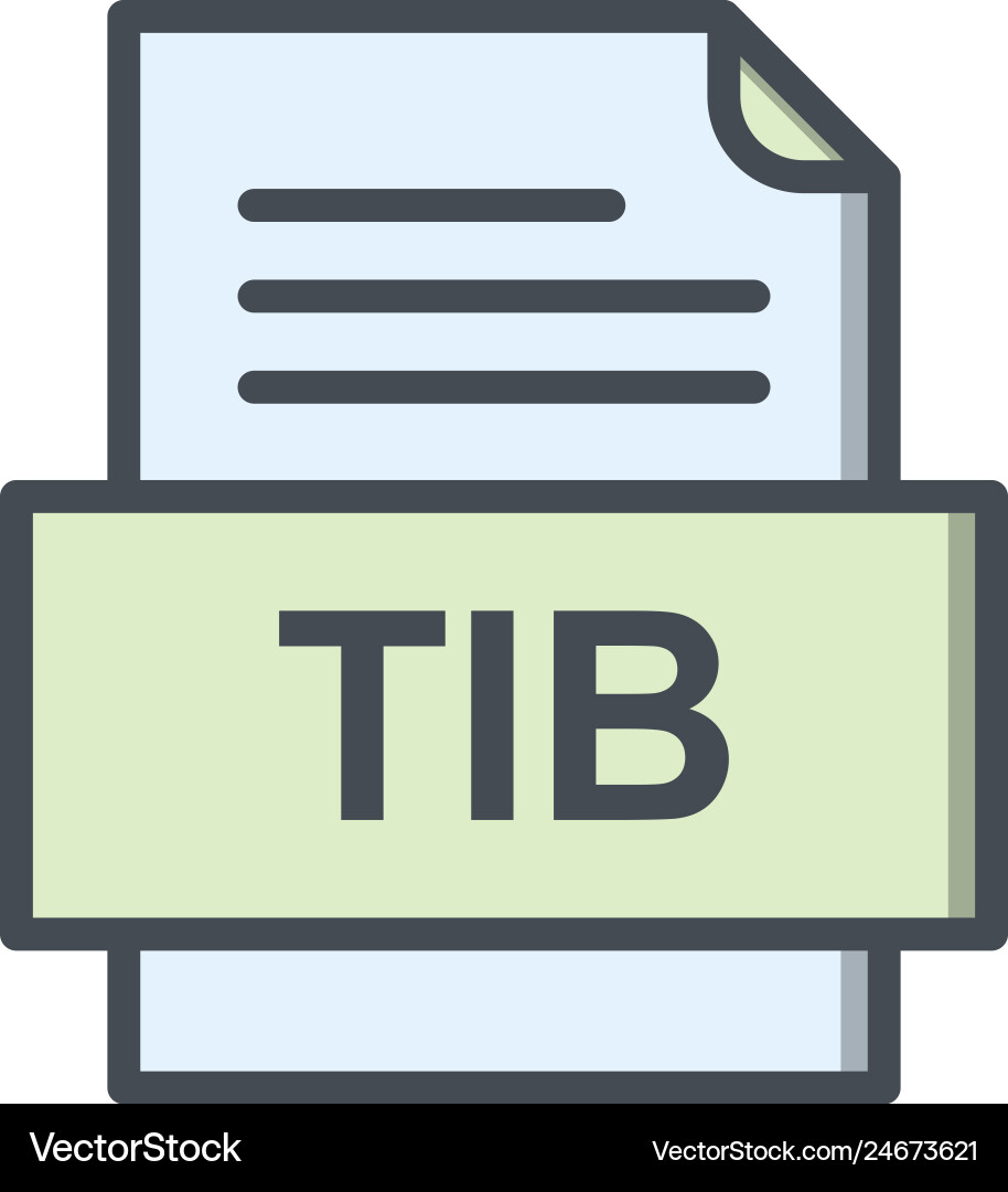 Tib file document icon vector image