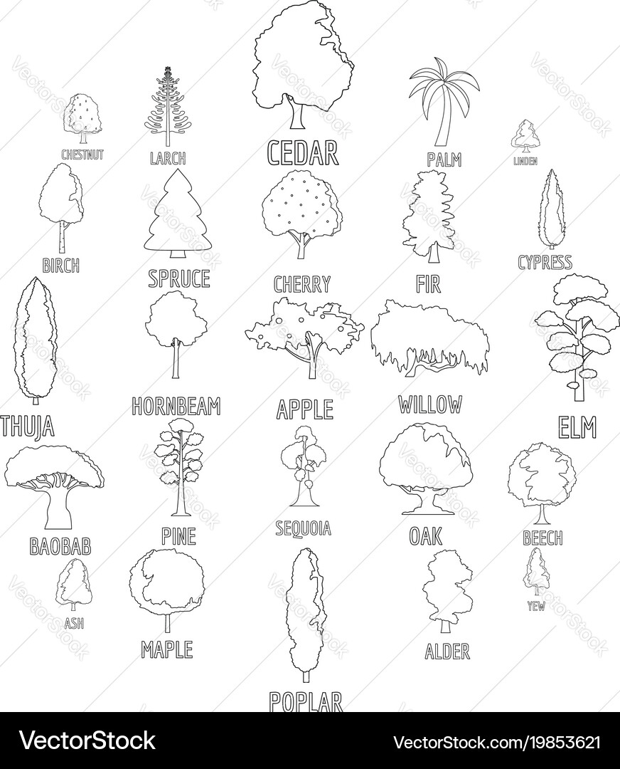 Tree types icons set outline style vector image