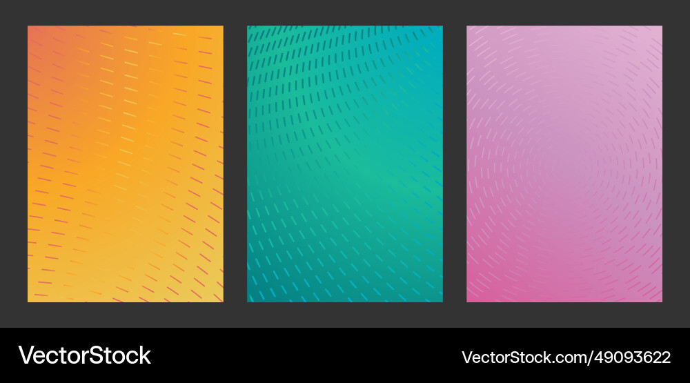 Colorful linear composition a set of layouts Vector Image