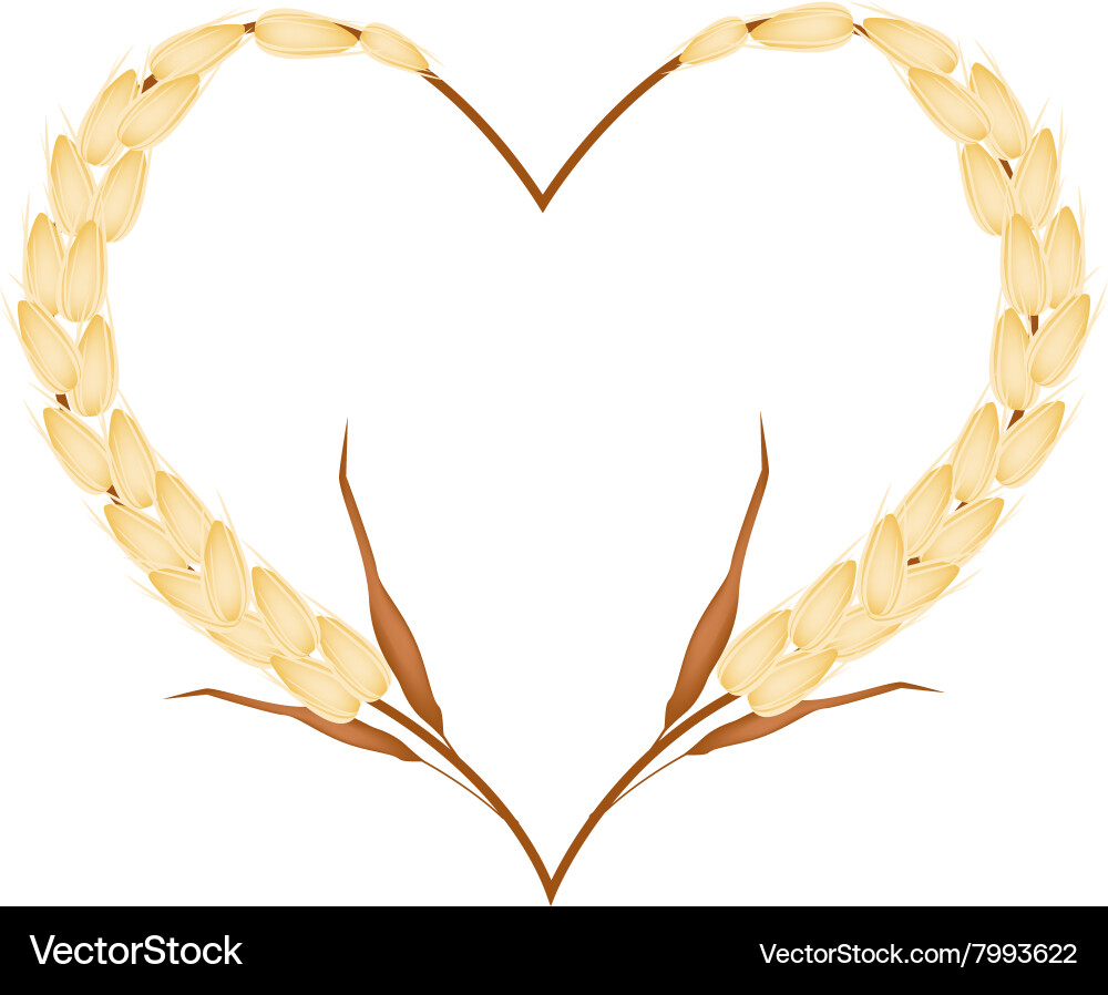 Golden color of millet in a heart shape Vector Image