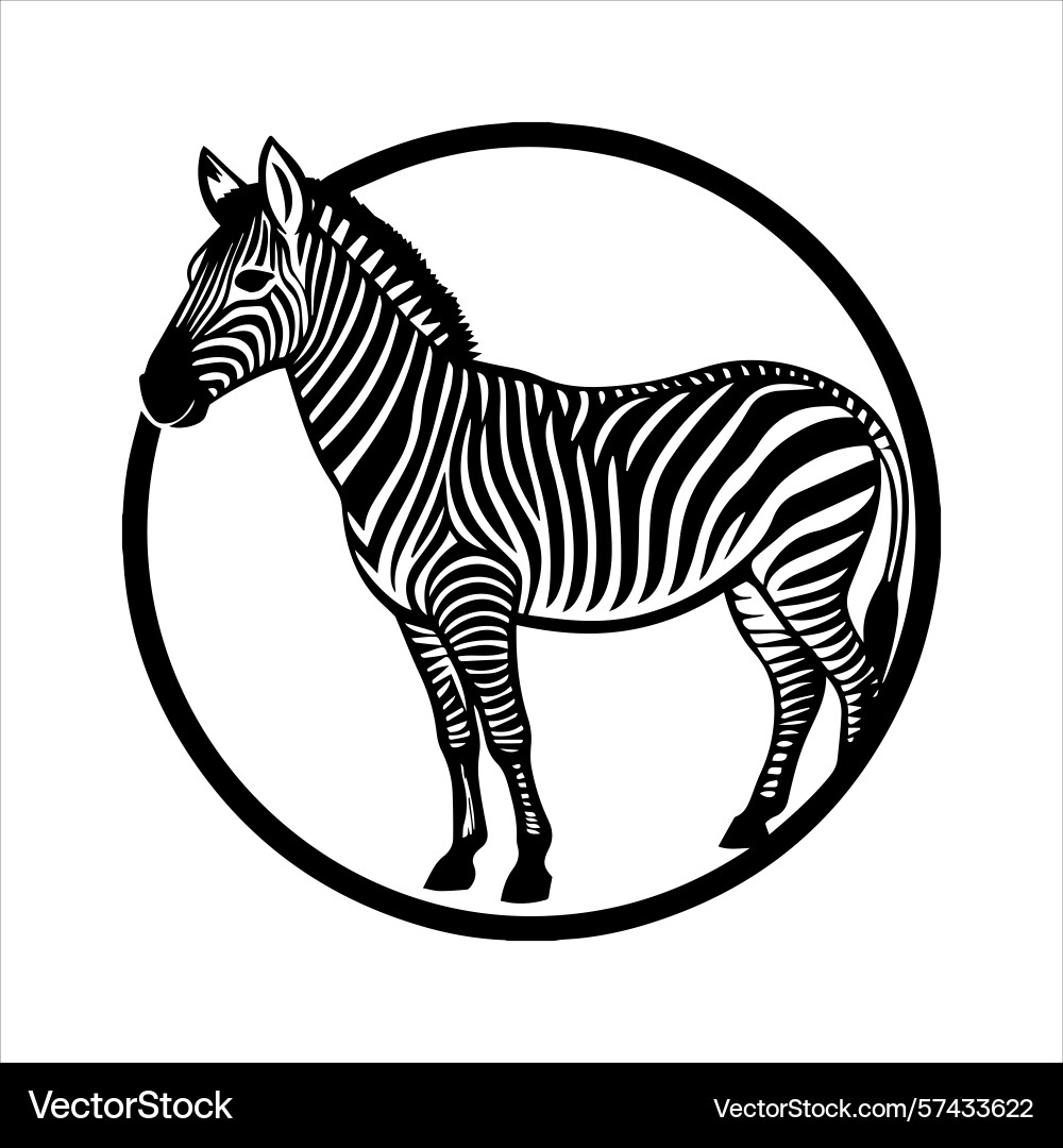 Plain zebra vector image
