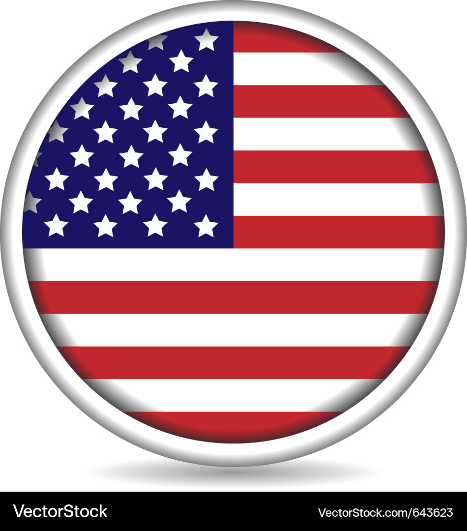 American Flag Button vector image