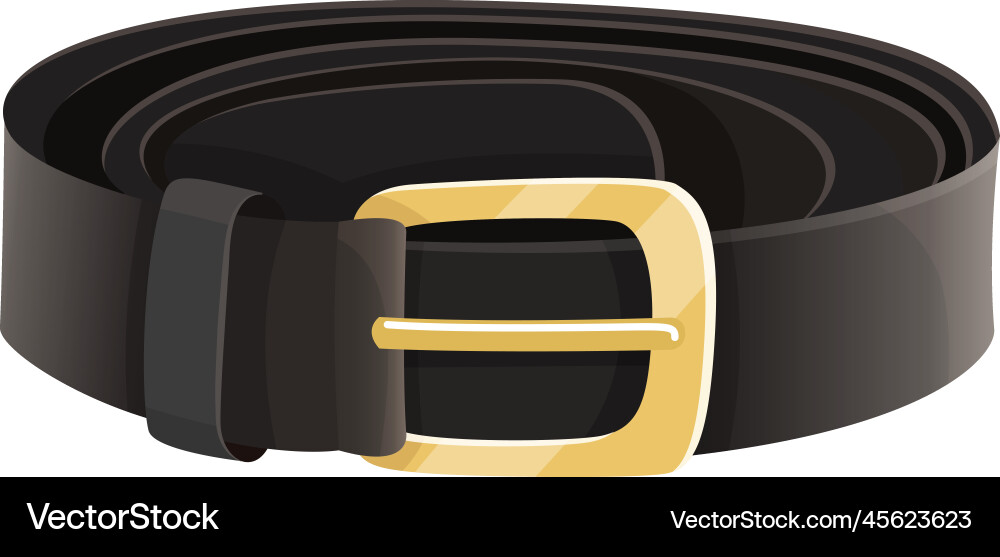 Realistic belt Royalty Free Vector Image - VectorStock