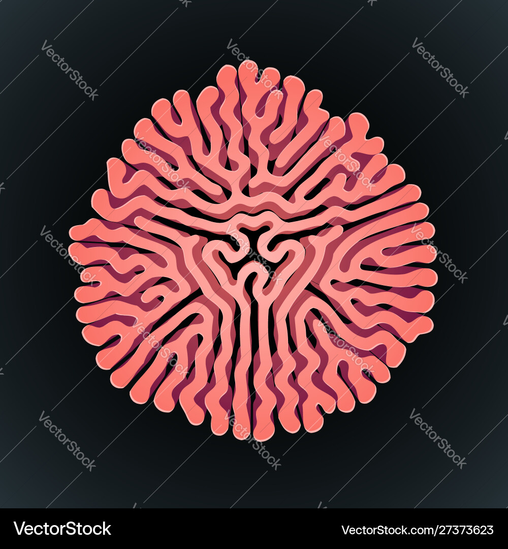 Turing Reaction Diffusion Pattern vector image