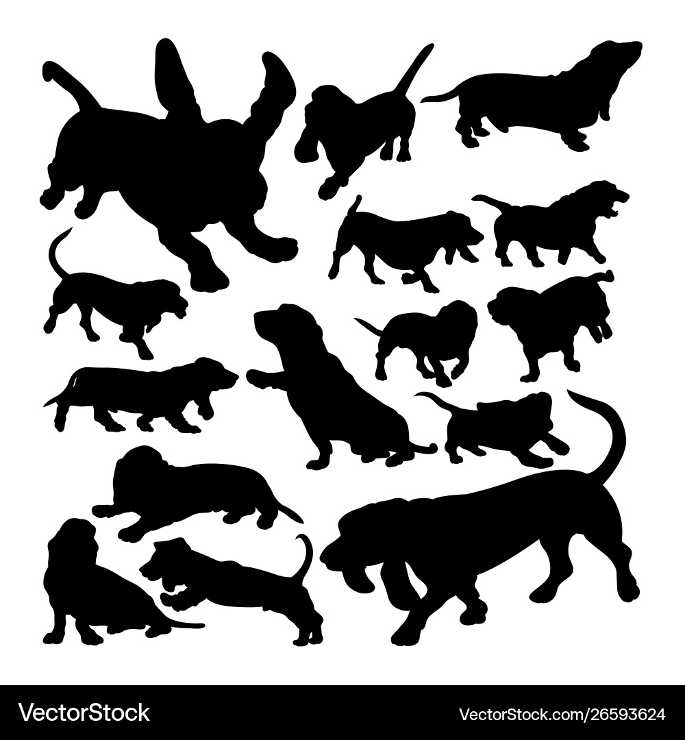 Basset Hound Silhouettes Vector Image
