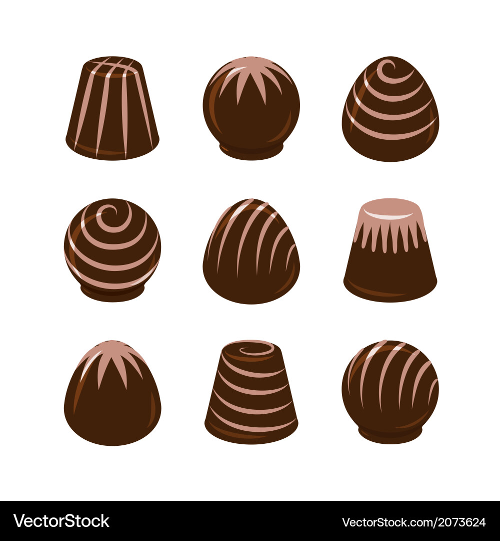 Collection of Chocolate Truffles vector image