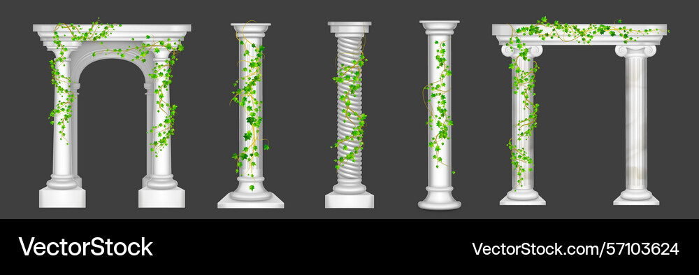 Ivy on marble columns and arches green vines Vector Image