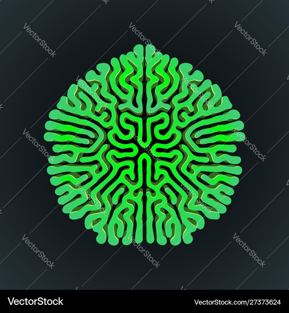 Morphogenesis Reaction Diffusion Pattern vector image