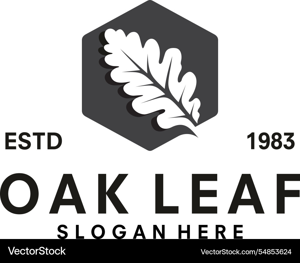 Oak leaf logo template design Vector Image