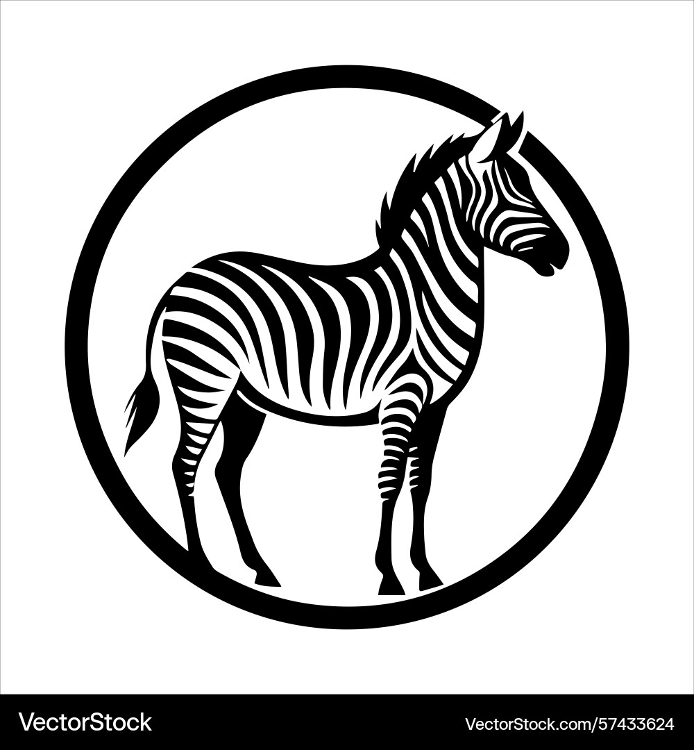 Plain zebra vector image