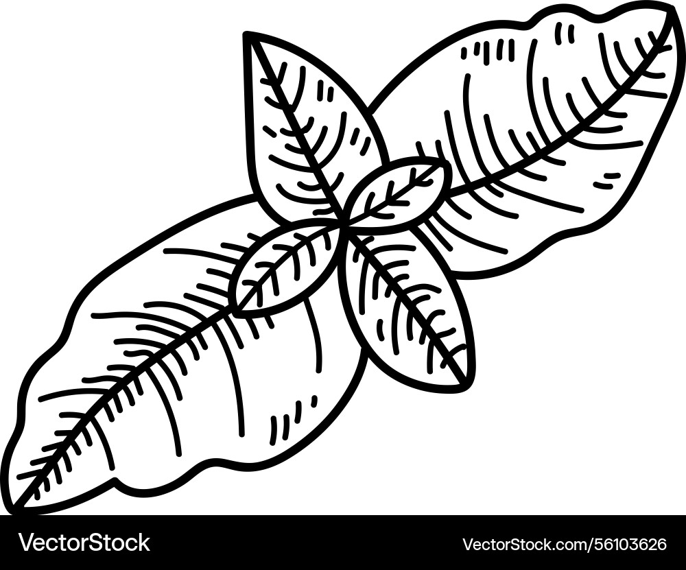 Intricate leaf pattern sketch Intricate leaf pattern sketch vector image