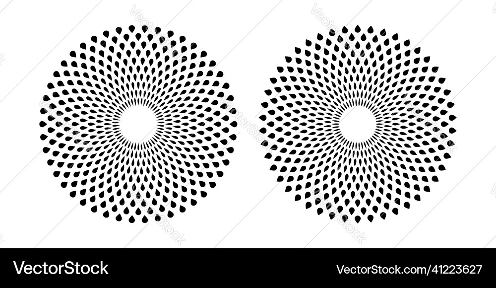 Geometric Circle Patterns vector image