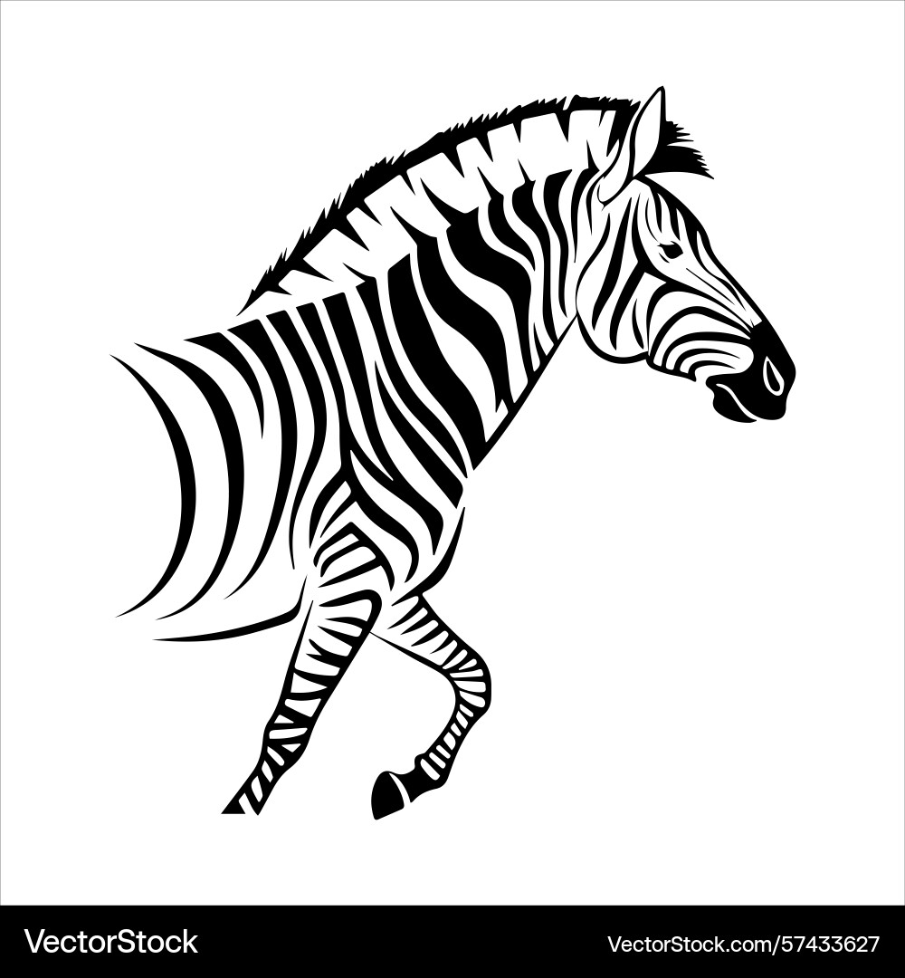 Plain zebra vector image