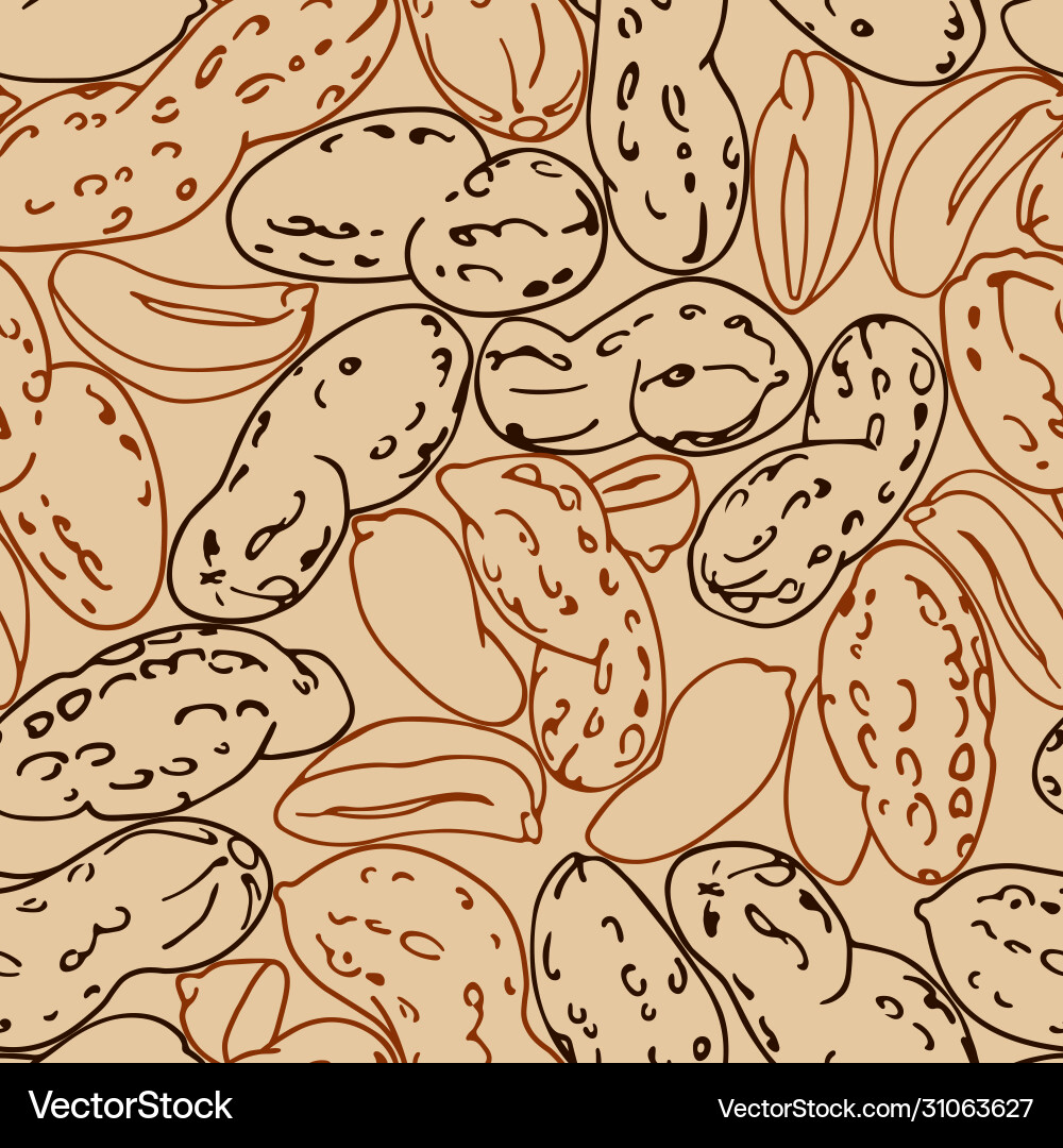 Seamless pattern a set peanuts kernels Seamless pattern a set peanuts kernels vector image