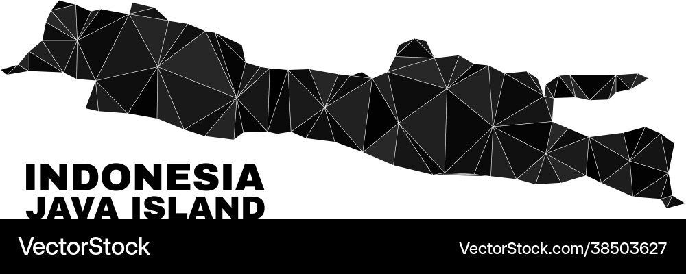 Triangle filled java island map Triangle filled java island map vector image