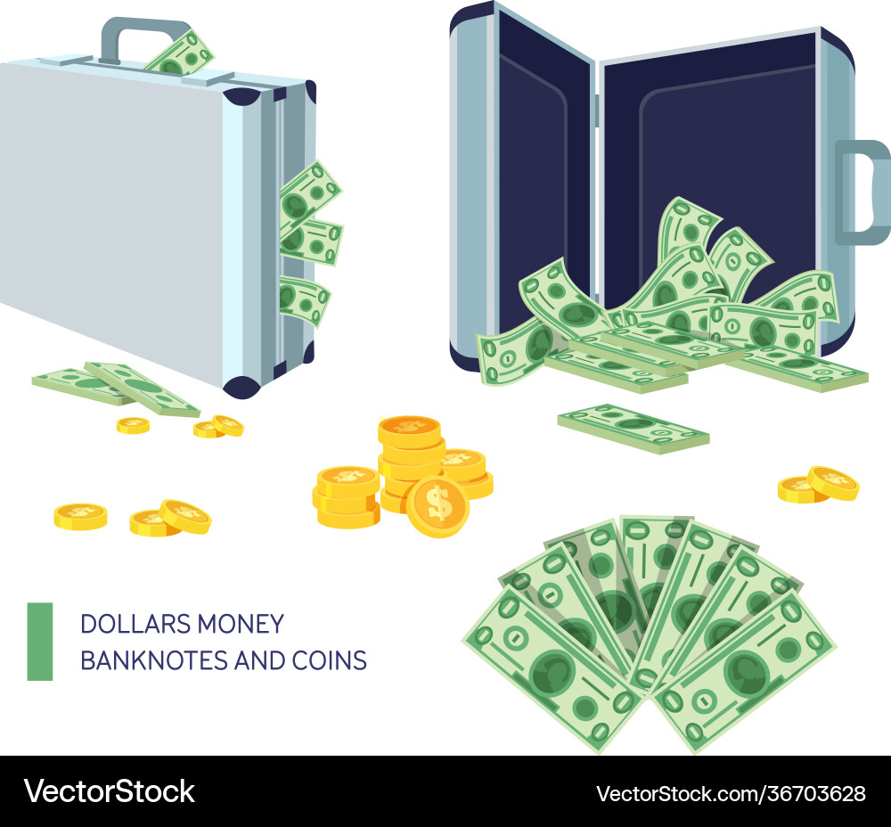 Briefcase with dollar bills in a closed and open Vector Image