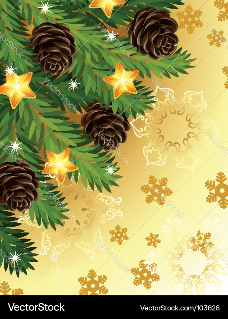 Pine branches vector image