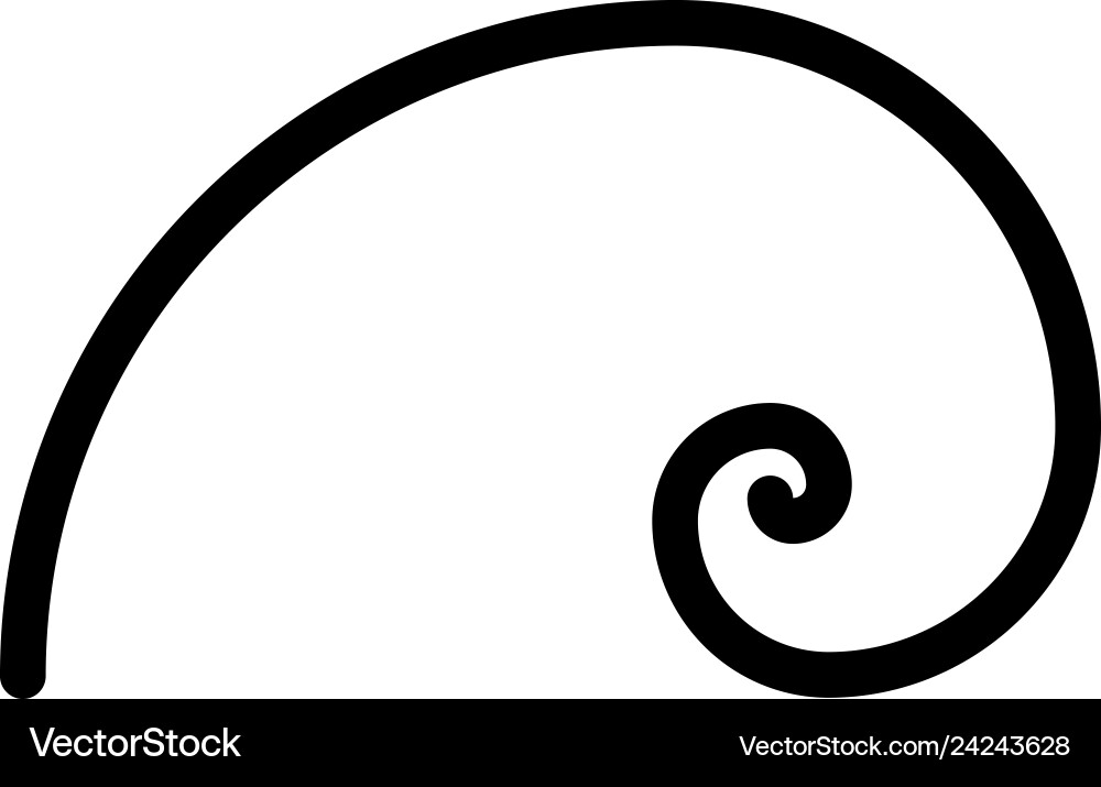 Spiral golden section ratio proportion Spiral golden section ratio proportion vector image