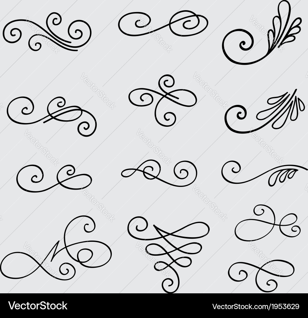Calligraphic Swirls & Flourishes Vector Image