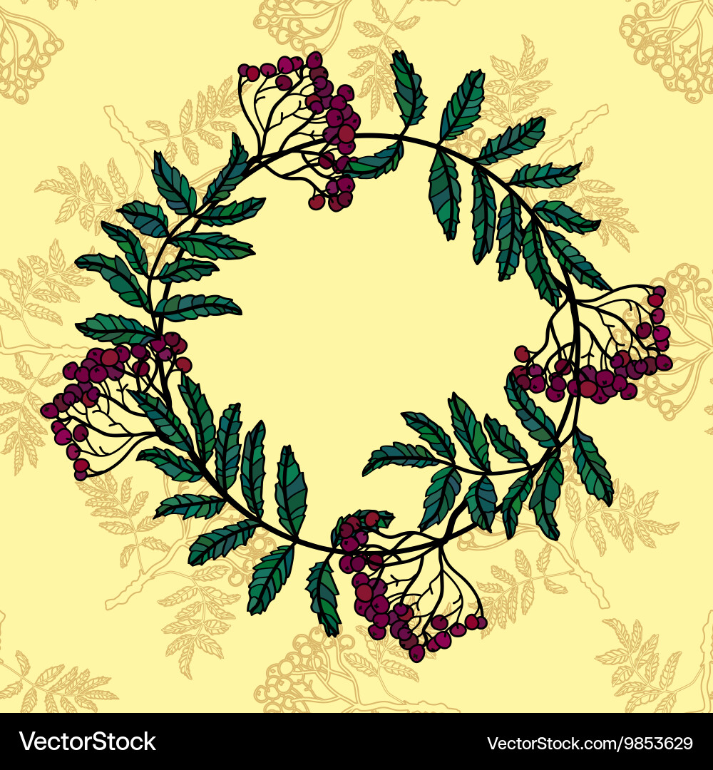 Frame with a red rowan vector image