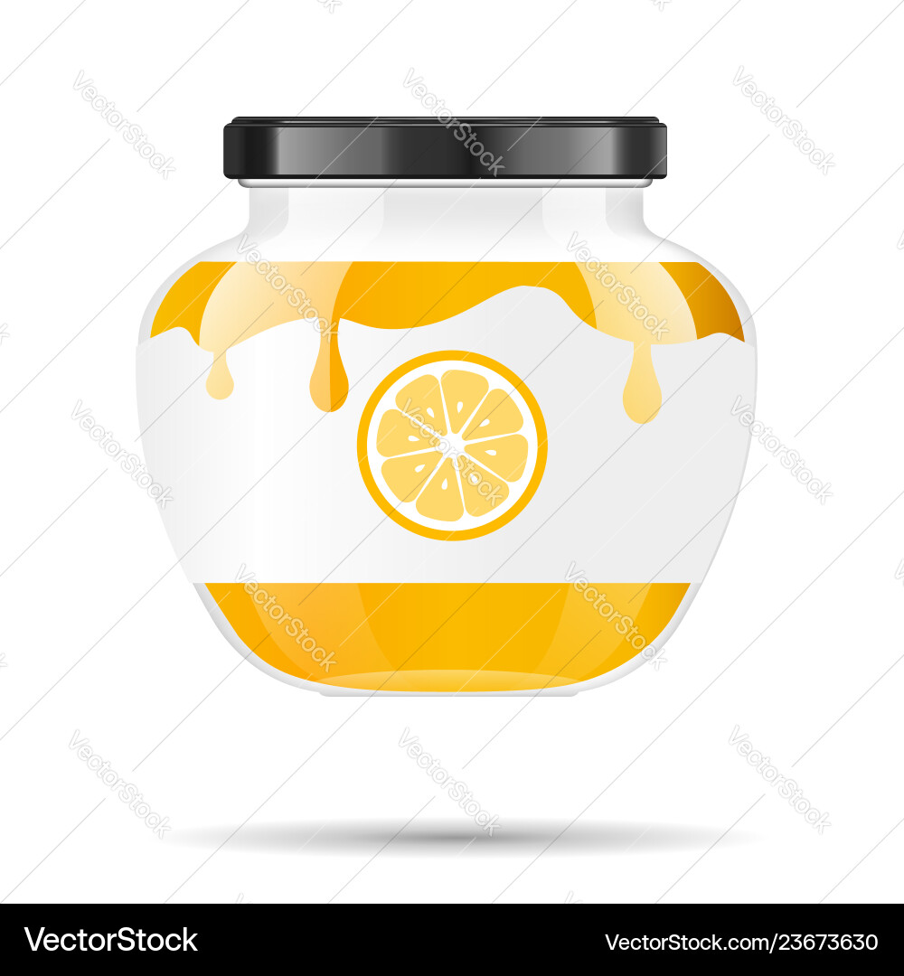 Glass jar with jam and configure lemon Glass jar with jam and configure lemon vector image