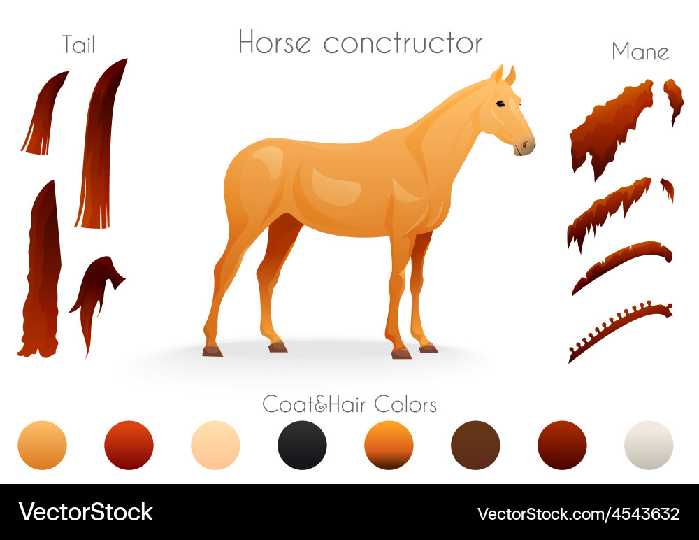 Create your own horse design withconstructor vector image