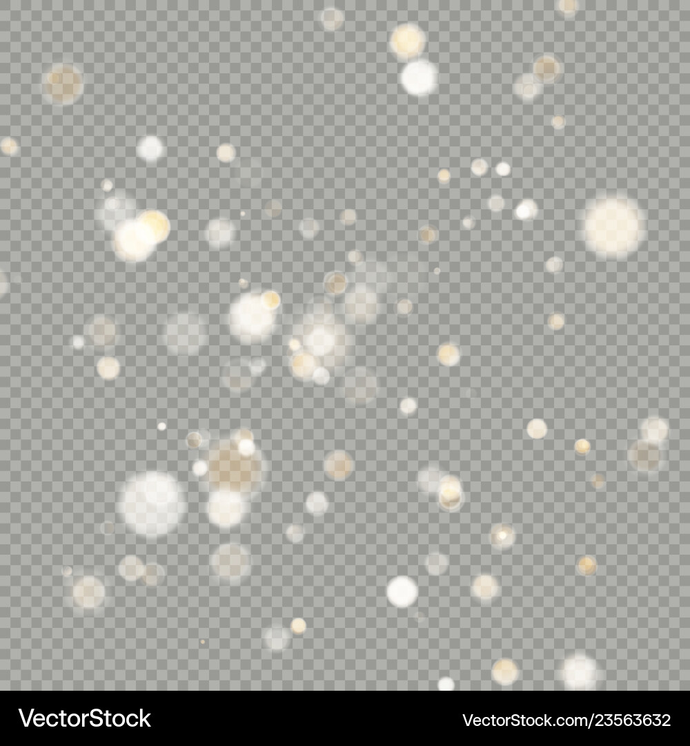 Effect of bokeh circles isolated on transparent Effect of bokeh circles isolated on transparent vector image