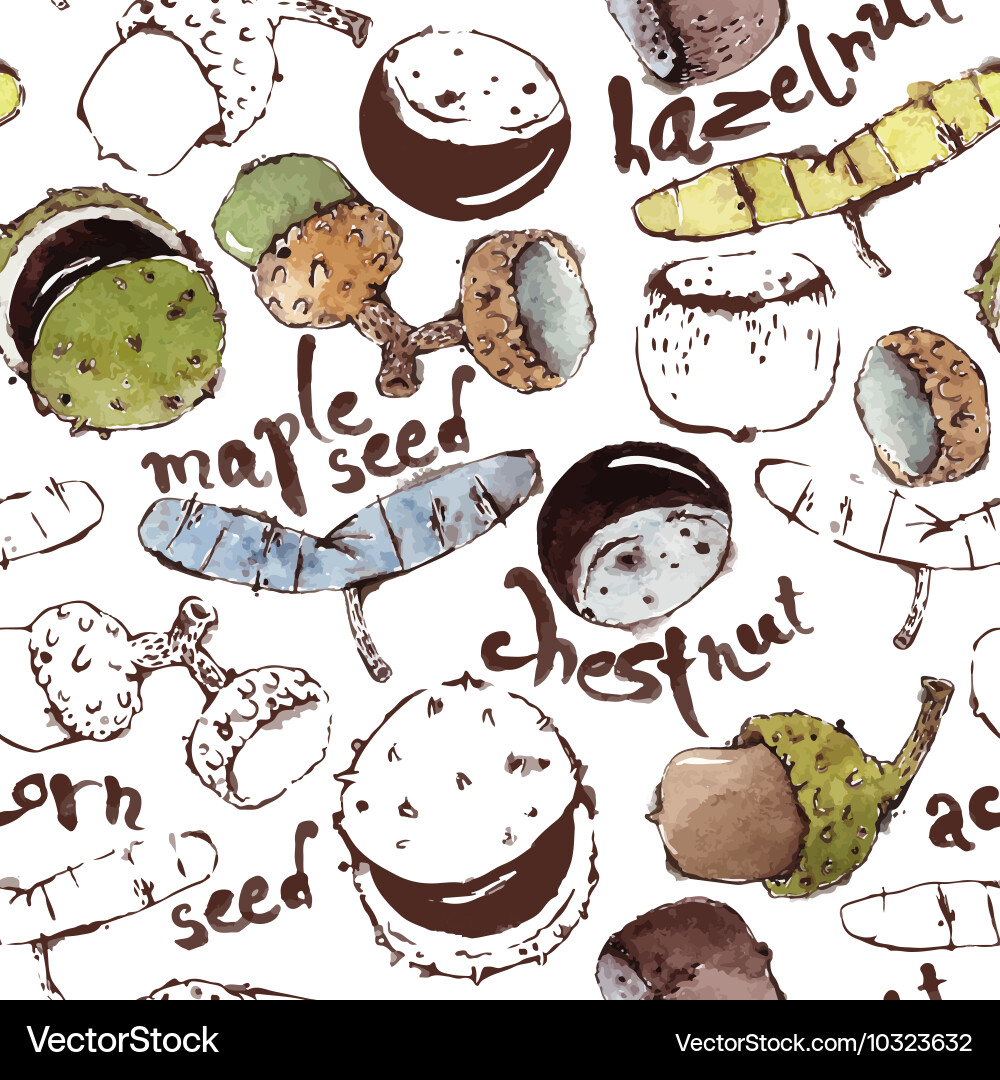 Seamless pattern with semipainted Vector Image