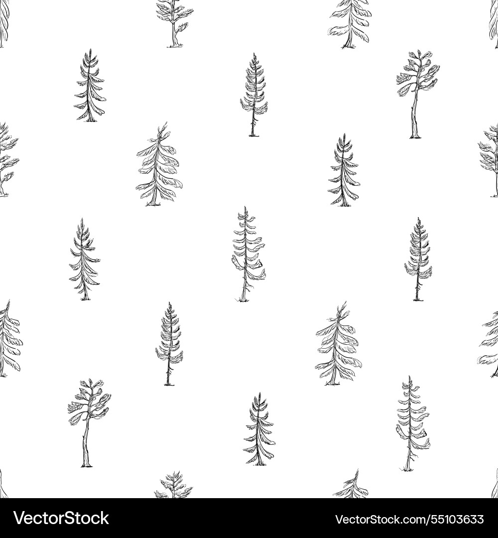 A seamless pattern featuring spruce and pine trees A seamless pattern featuring spruce and pine trees vector image
