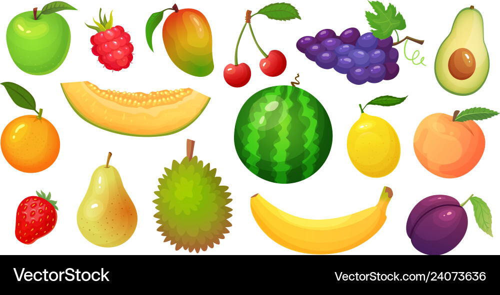 Cartoon fruits mango fruit melon slice vector image