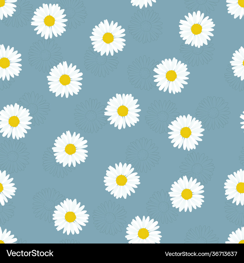 Chamomile flower seamless pattern simple spring Chamomile flower seamless pattern simple spring vector image