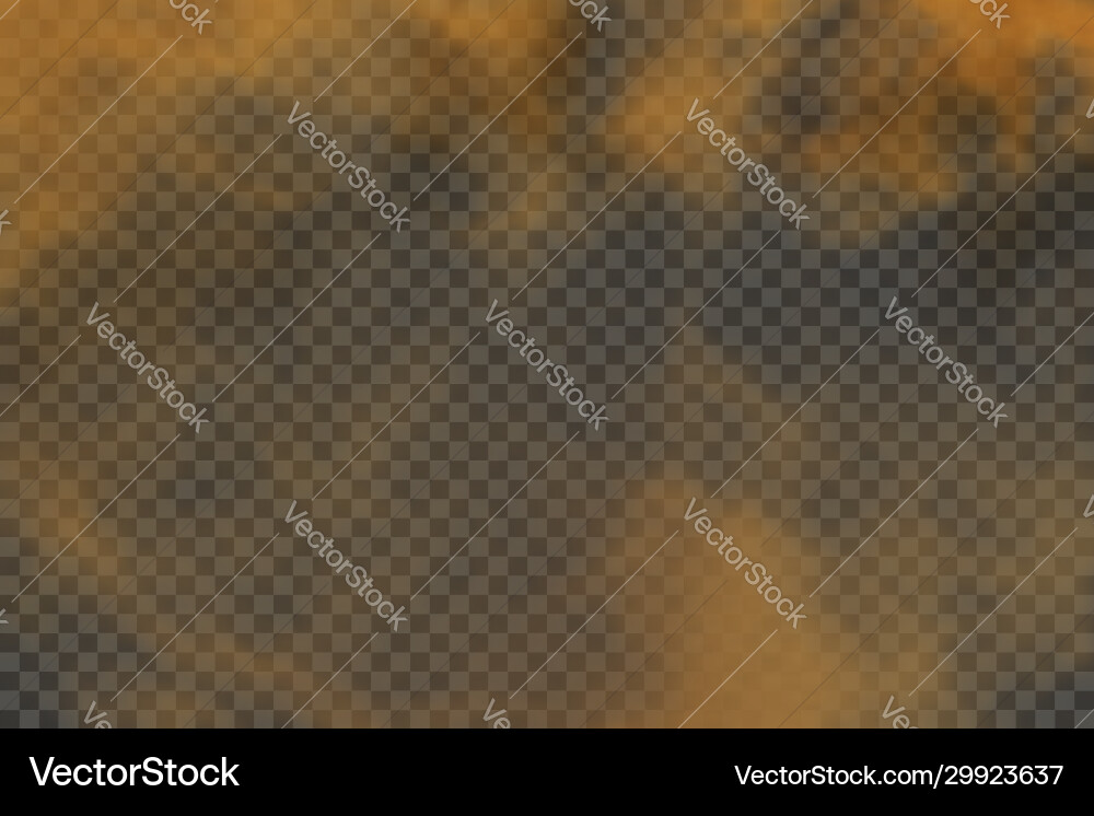Dust sand cloud on a dusty road from car Dust sand cloud on a dusty road from car vector image