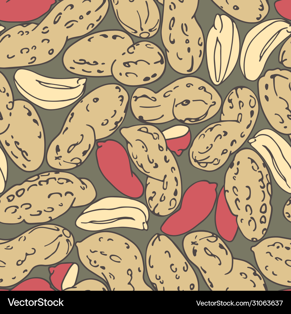Seamless pattern a set peanuts red kernels Seamless pattern a set peanuts red kernels vector image