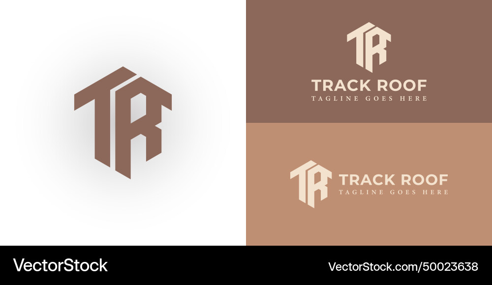 Abstract tr initial letters looping linked hexagon Abstract tr initial letters looping linked hexagon Vector Image