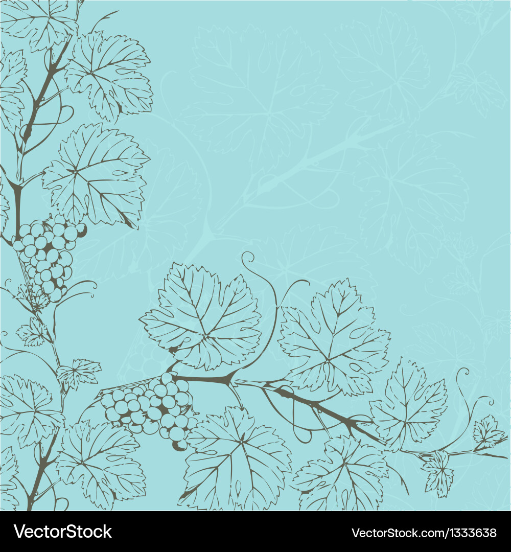 Elegant Grape Branch vector image