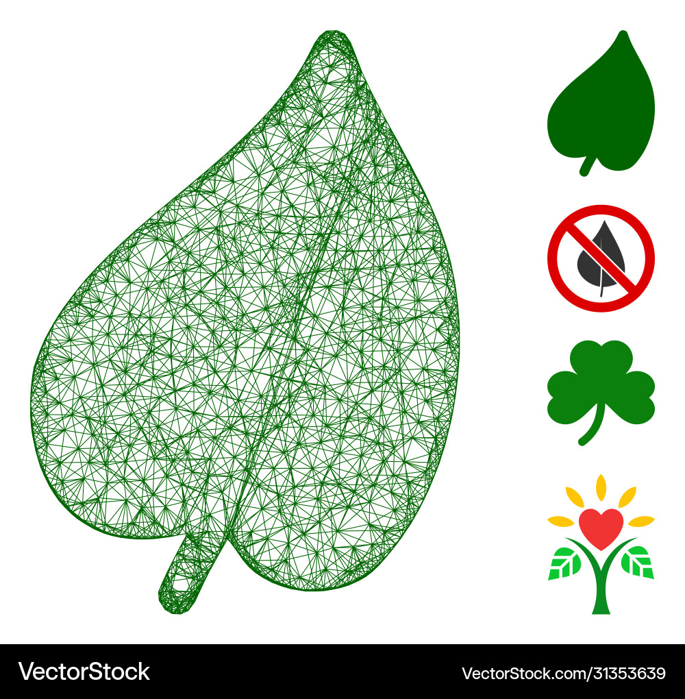 Leaf web mesh Leaf web mesh vector image