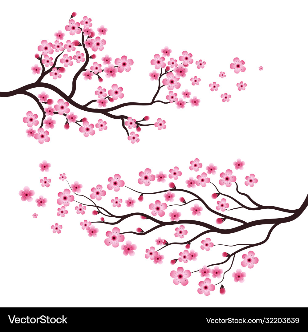 Sakura beauty flower icon Sakura beauty flower icon vector image