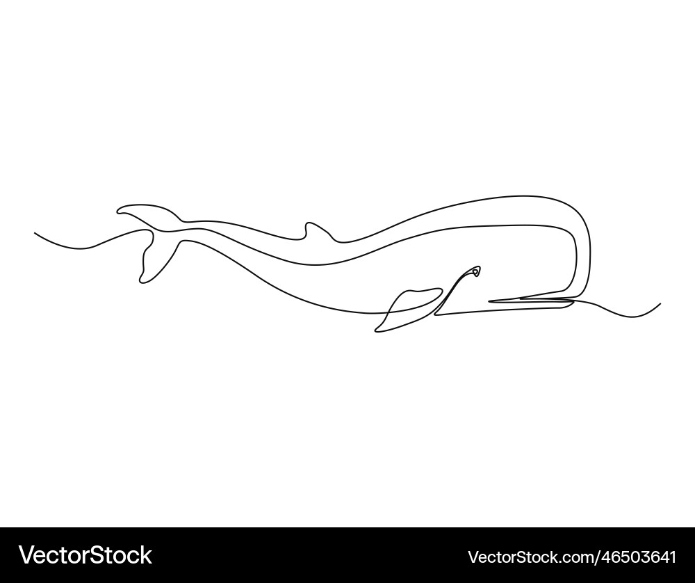 Continuous one line drawing of whale simple Vector Image