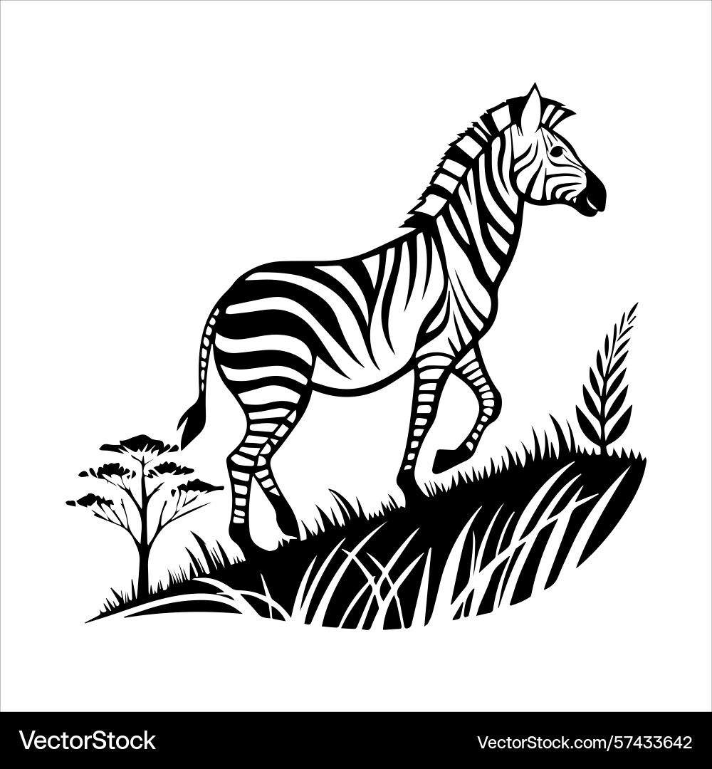 Plain zebra vector image