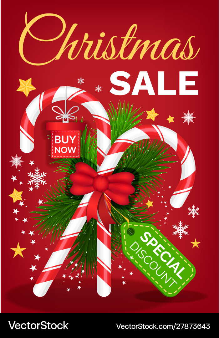 Christmas sale discounts and offers from shops Christmas sale discounts and offers from shops vector image
