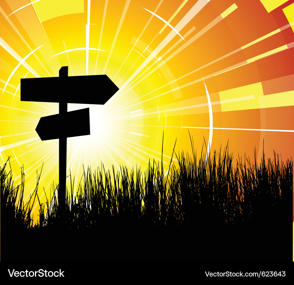Pathways and Choices vector image
