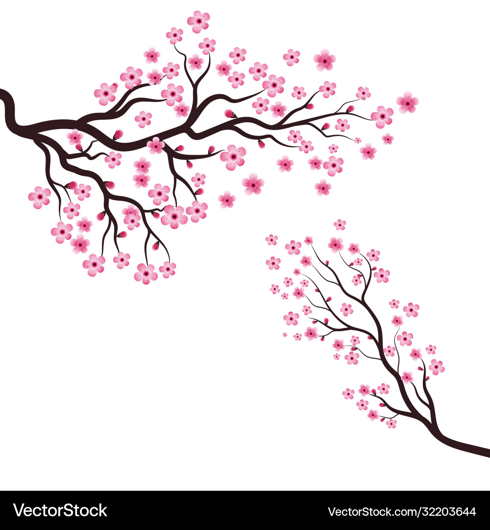 Elegant Sakura Blossom Icon vector image